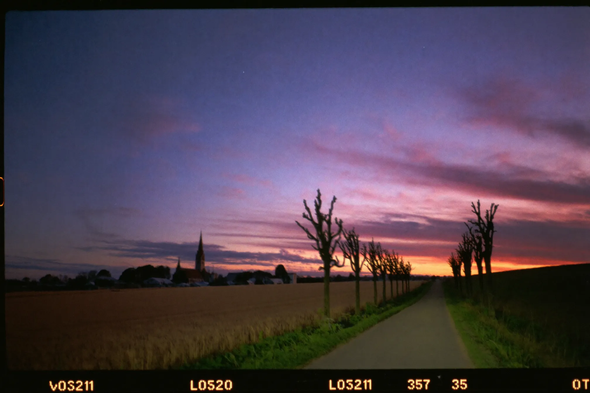 Countryside lane between grain fields at last light, tree silhouettes and a village church spire against a dusk sky